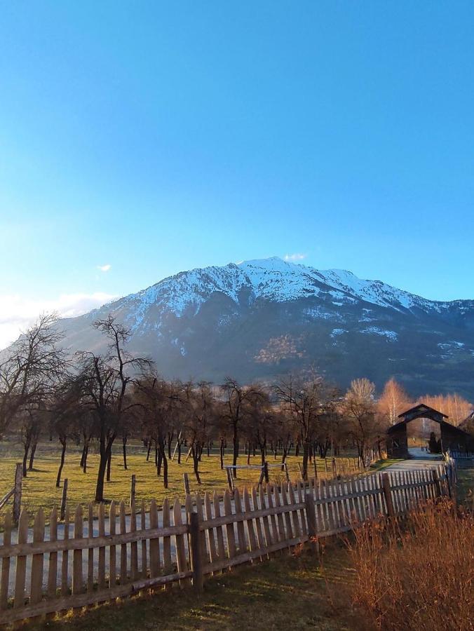 Visitor Yard Bed & Breakfast Plav Dış mekan fotoğraf