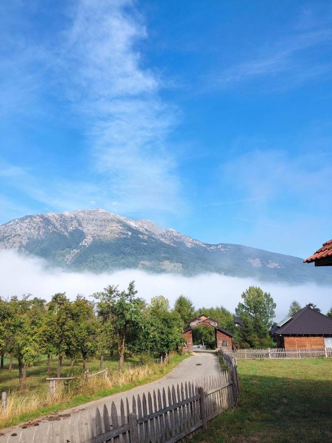 Visitor Yard Bed & Breakfast Plav Dış mekan fotoğraf